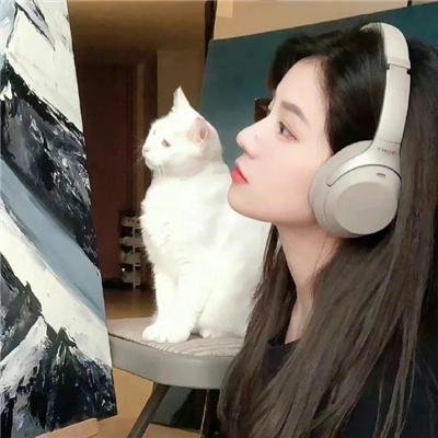 导演你有病