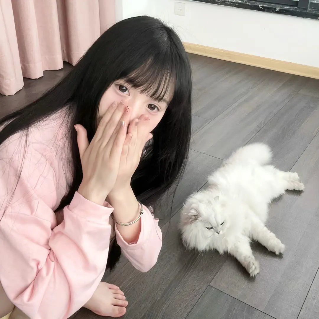 考拉超人